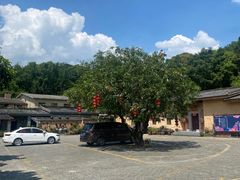 -清水湖度假村(罗浮山美食地标店)