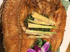 -紫滇源云南生态菜(丹凤街店)