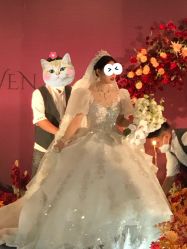 -拉瑞娜LaReine婚纱礼服高级定制