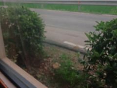 -李东农庄(中南百草园地标店)