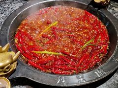 牛油红锅-蜀大侠火锅(寰球文化地标·总府店)