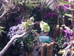 -南通洲际绿博园