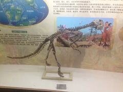 -嘉荫恐龙国家地质公园