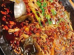 -鸿顺老铁锅美蛙鱼府(解放碑店)