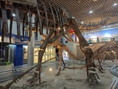 -国家自然博物馆