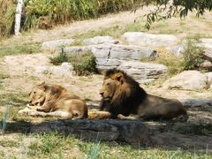 -北京野生动物园