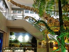 生命演化厅-甘肃地质博物馆