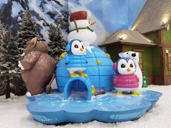 -长沙湘江冰雪世界