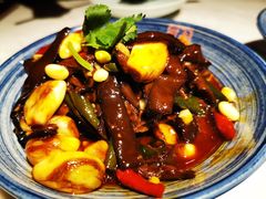 -小吊梨汤·北京菜·烤鸭(鸟巢店)