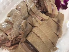 白切马冈鹅-鹅城