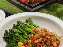 -秦月轩·陕西家乡菜(阜成路·五棵松店)