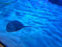 -沈阳海洋探索中心