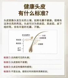 -希梵尔头皮抗衰·科技养发