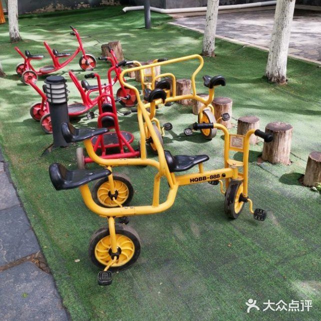 让我们一去看可爱的小动物