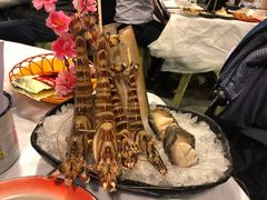 -鲜入围煮花胶鸡海鲜火锅