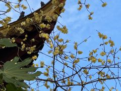 -狼山风景名胜区