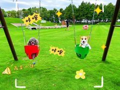 -太阳岛度假酒店