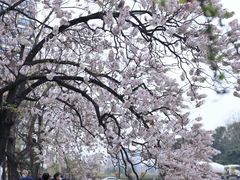 -成都市活水公园