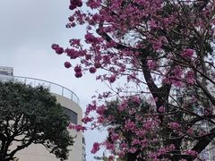 -招商局历史博物馆