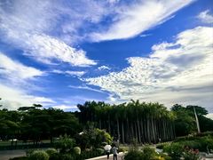 -深圳国际园林花卉博览园