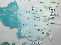 -上海都市菜园