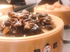 -龍歌自助小火锅(城阳万象汇店)