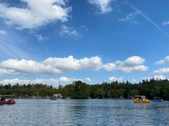 -上海共青森林公园