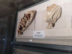-巴音郭楞蒙古自治州博物馆