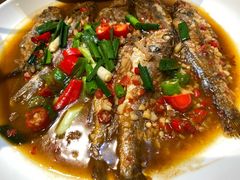 -曾牛土菜(捷瑞达店)