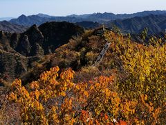-大岭沟猕猴桃谷风景区