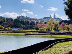 -云溪植物园