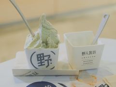 -野人牧坊Gelato(天津南开大悦城店)