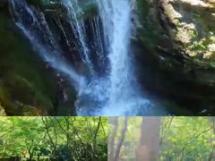 -牛背梁国家森林公园