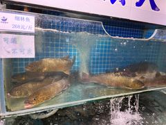 -胖姐渔村(中源大道店)