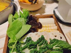 -汤城·料青山