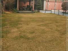 -翠园十八号庭院餐厅