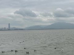 -深圳湾公园(南山区)