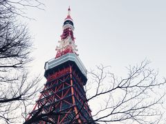 -东京塔海贼王主题公园
