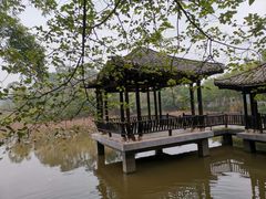 -老木棉·匠园