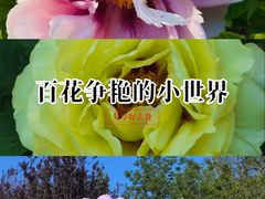 -太阳宫公园