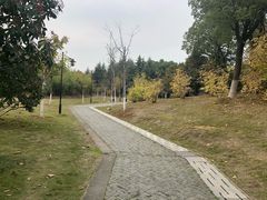 -月湖风景区