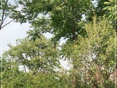 -秦始皇帝陵博物院-丽山园