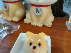 -柴犬高等学院·狗咖·柴犬售卖·宠物训练