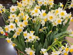 -澳门西南饭店·粤菜·茶市·手工点心(华海路店)