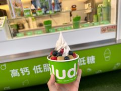 -Salud撒露欧洲冻酸奶(蓝色港湾店)