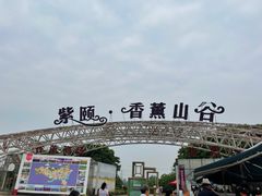 -紫颐香薰山谷景区