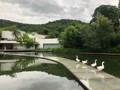 -中国丝绸博物馆