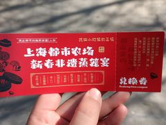 -上海都市菜园