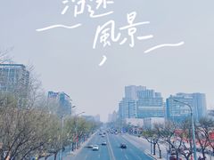 -三里屯东五街银杏大道