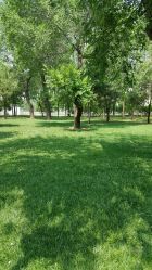 -大望京儿童游乐场